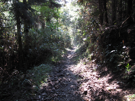 20131116hike (285)